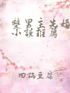 双男主先婚后爱小说推荐