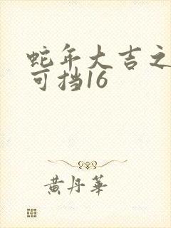 蛇年大吉之婚不可挡16