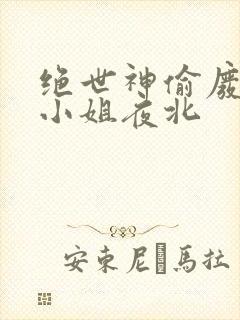 绝世神偷废柴七小姐夜北