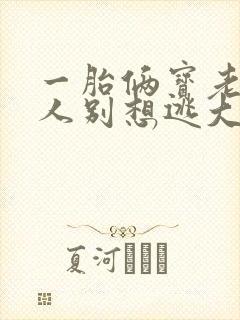 一胎俩宝老婆大人别想逃大结局