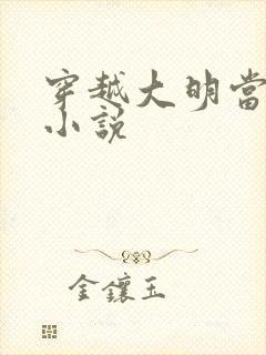 穿越大明当崇祯小说