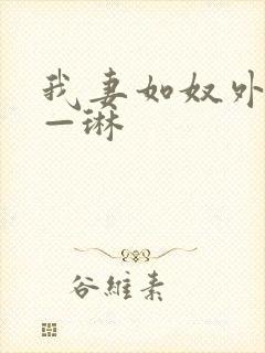 我妻如奴外传——琳