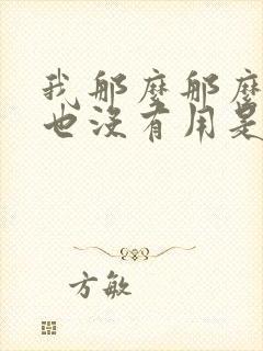 我那么那么爱你也没有用是什么歌