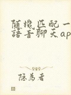 随机匹配一对一语音聊天app