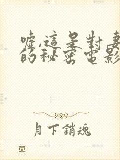 嘘,这是对妻子的秘密电影