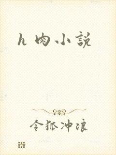 h 肉小说