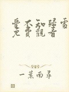 爱不知归处短剧免费观看