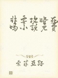 非要攻略死对头吗小说免费阅读