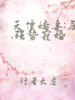 天价娇妻:厉少,强势宠婚