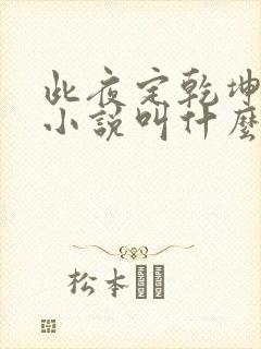 此夜定乾坤原著小说叫什么名字