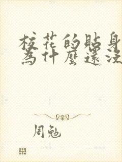 校花的贴身高手为什么还没完结