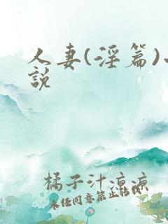 人妻(淫篇)小说