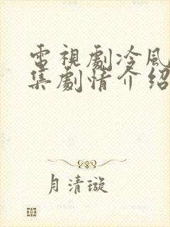 电视剧冷风暴分集剧情介绍