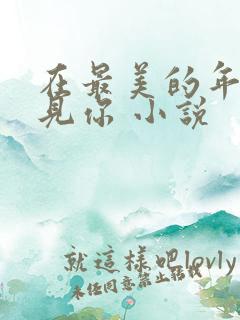 在最美的年华遇见你 小说