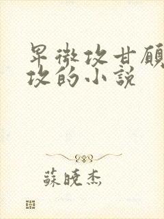 卑微攻甘愿被反攻的小说