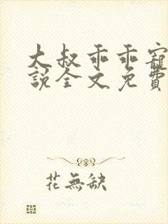 大叔乖乖宠我小说全文免费阅读