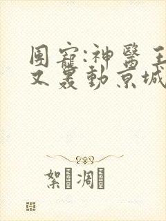 团宠:神医王妃又轰动京城了