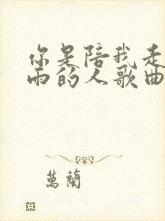 你是陪我走过风雨的人歌曲名