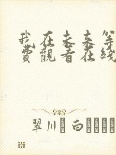 我在未来等你免费观看在线电视剧