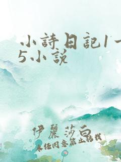 小诗日记1一15小说