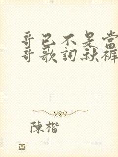 哥已不是当年的哥歌词秋裤大叔