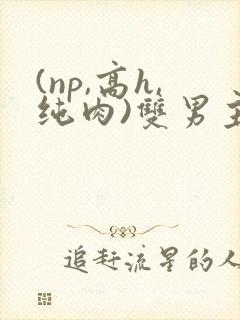 (np,高h,纯肉)双男主