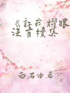 《许我耀眼》有没有续集