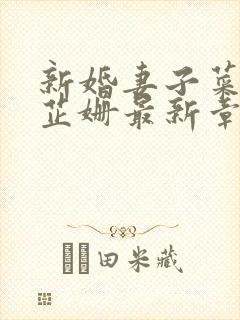 新婚妻子菜老板芷姗最新章节更新内容