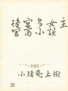 后宫多女主全部官商小说