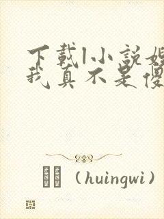 下载l小说嫂子我真不是傻子了全部