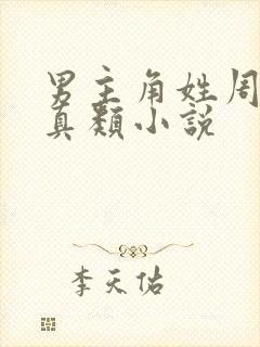 男主角姓周的修真类小说