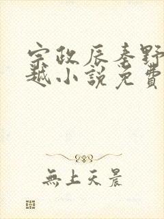 宗政辰秦野的穿越小说免费阅读