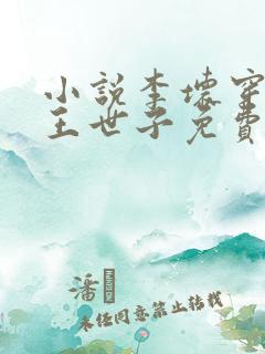 小说李坏穿越潇王世子免费