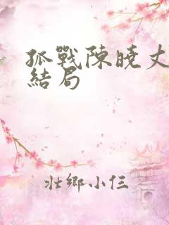 孤战陈晓丈夫的结局