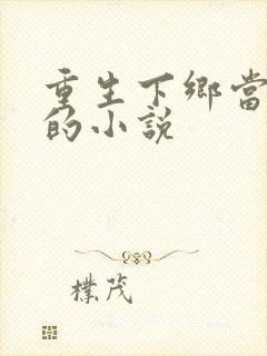 重生下乡当知青的小说