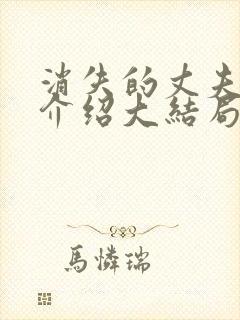 消失的丈夫剧情介绍大结局