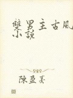 双男主古风权谋小说