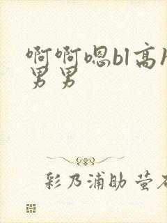 啊啊嗯bl高h男男