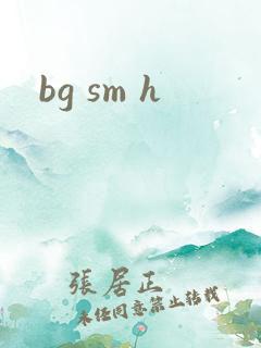 bg sm h