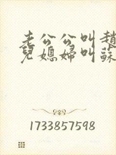 老公公叫赵大宝儿媳妇叫苏媚的小说