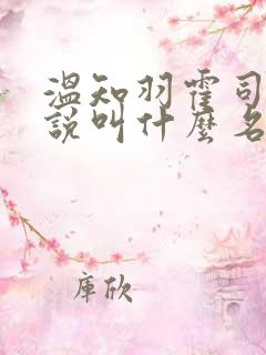 温知羽霍司砚小说叫什么名字