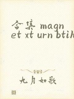 合集 magnet xt urn btih