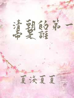 清朝的第一位皇帝是谁