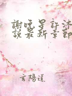 谢晚星许沐尧小说最新章节更新内容