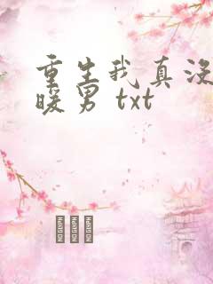 重生我真没想当暖男 txt