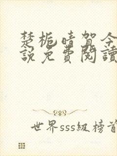 楚栀晴贺今朝小说免费阅读最新章节