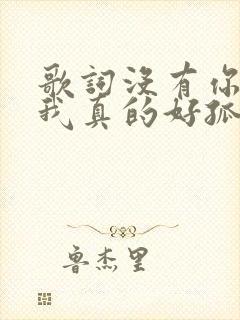 歌词没有你陪伴我真的好孤单