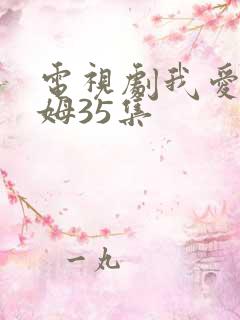 电视剧我爱男保姆35集