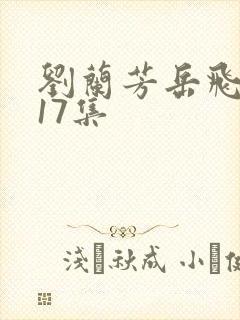 刘兰芳岳飞传117集