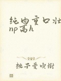 纯肉重口壮汉受np高h